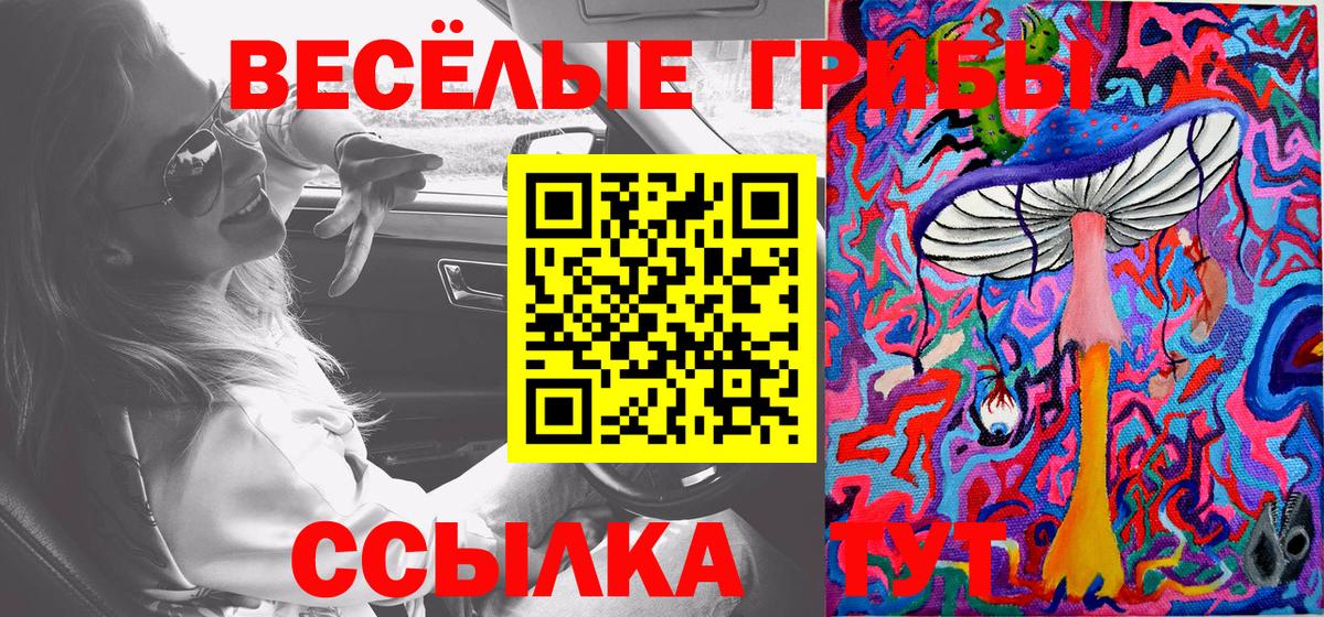 Галлюциногенные грибы мицелий  Вход с VPN  Краснознаменск 